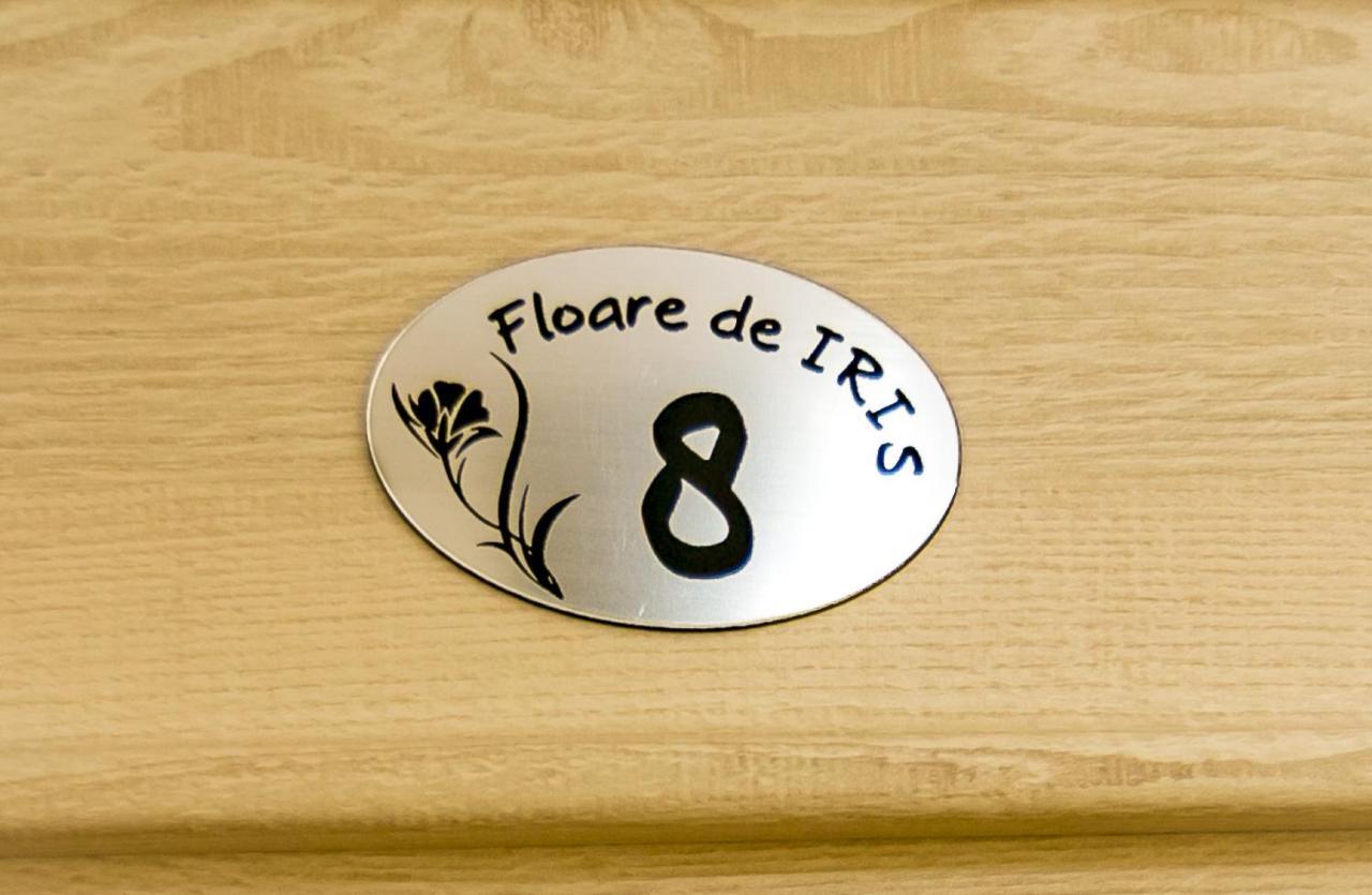 فندق Floare De Iris فاما فيكي المظهر الخارجي الصورة