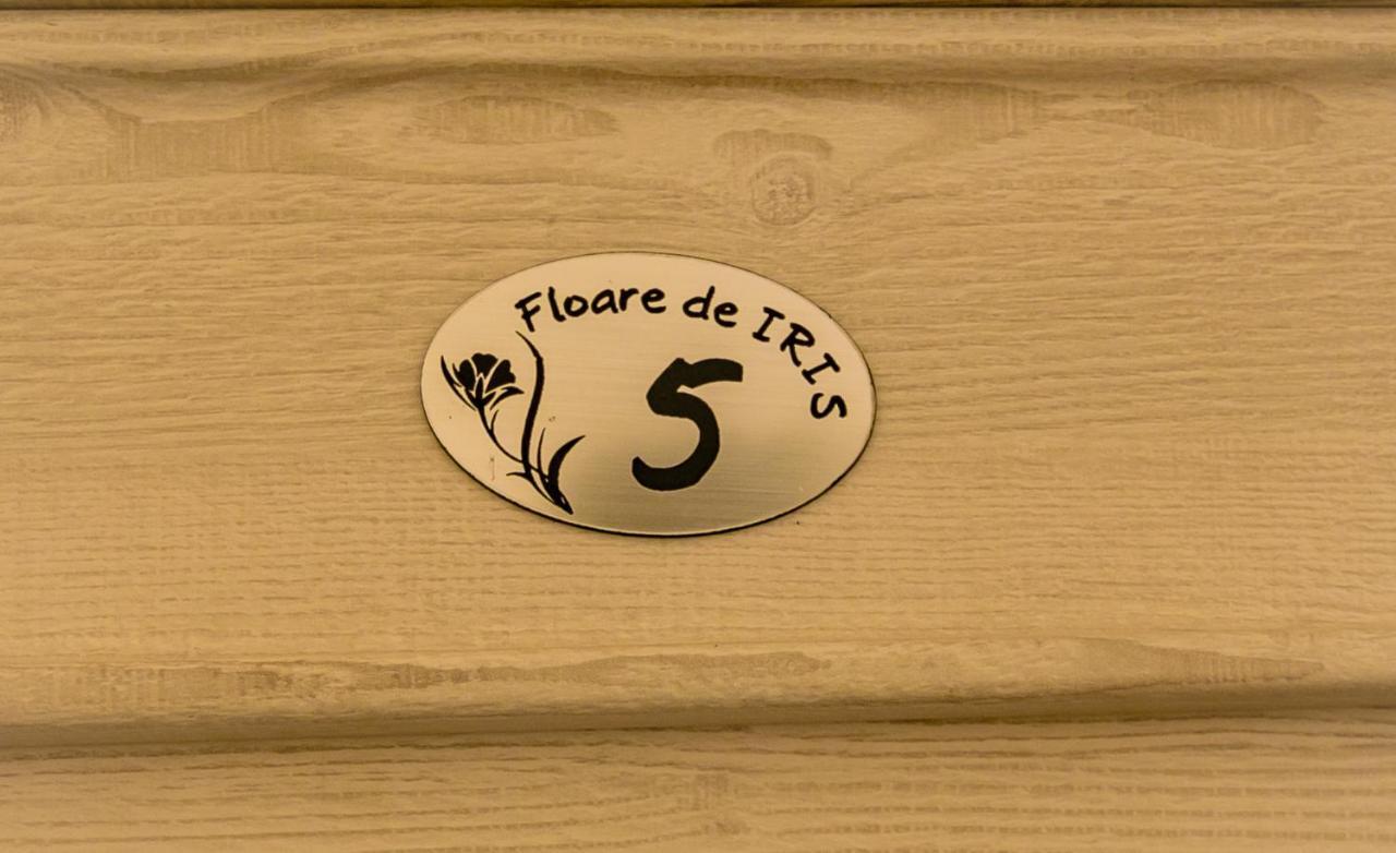 فندق Floare De Iris فاما فيكي المظهر الخارجي الصورة
